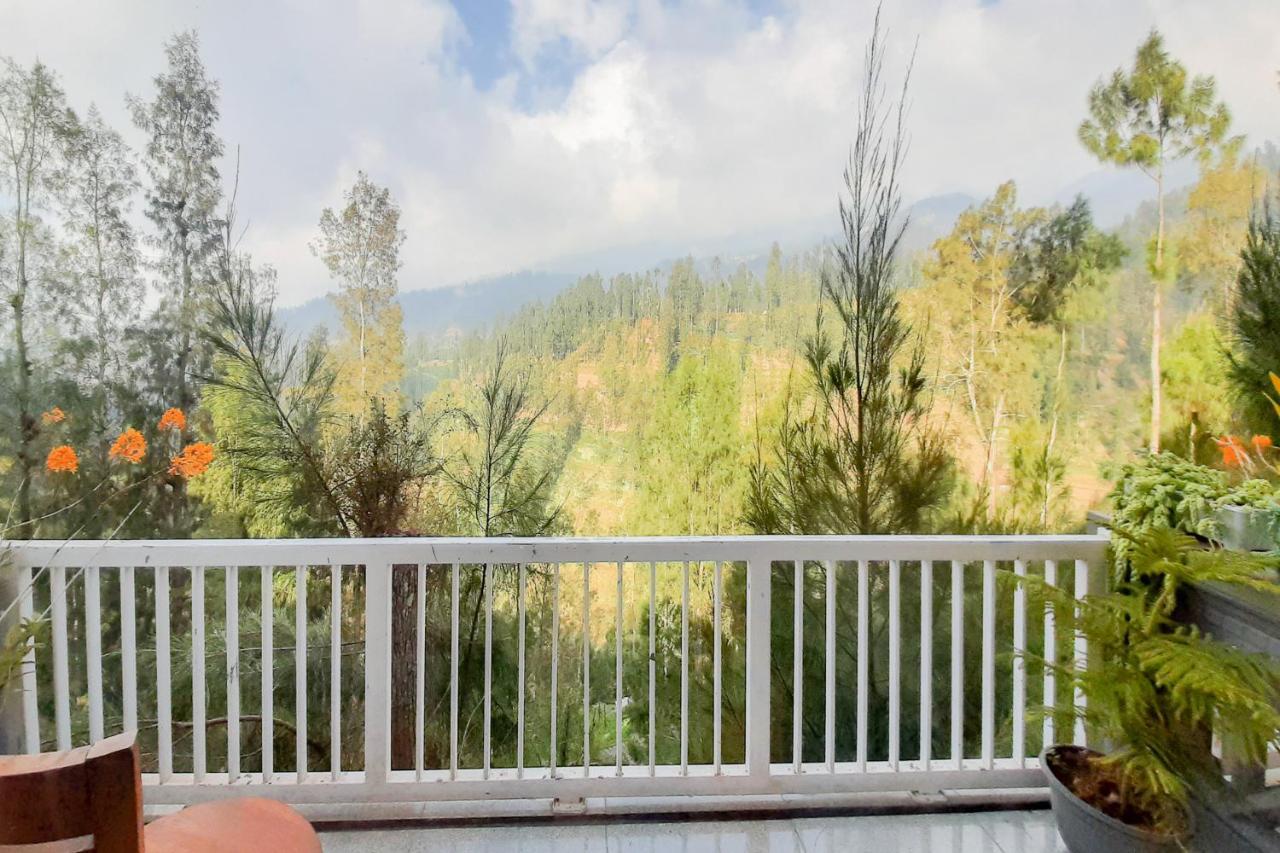 פסורואן Delvia Bromo Homestay Mitra Reddoorz מראה חיצוני תמונה